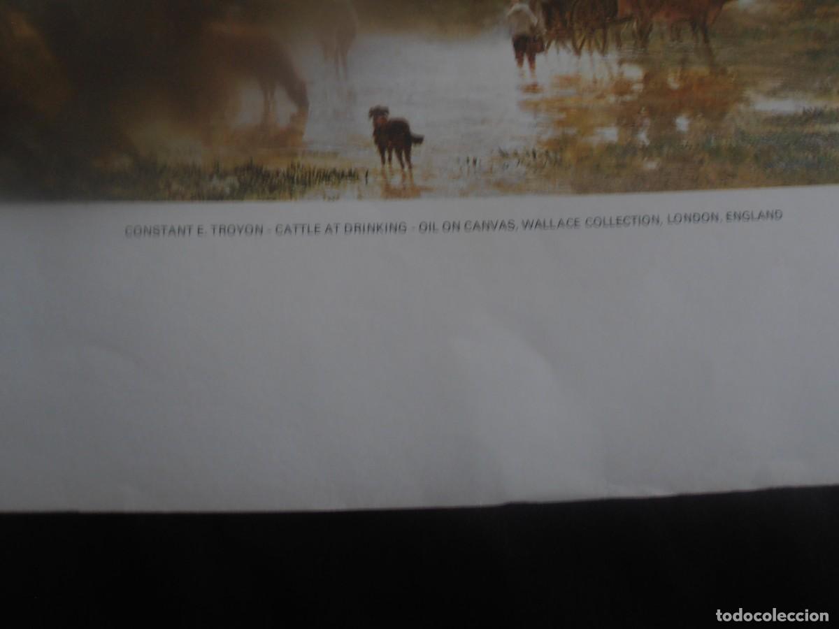 Arte: LITOGRAFIA, CONSTANT E. TROYON - CATTLE AT DRINKING - Foto 5