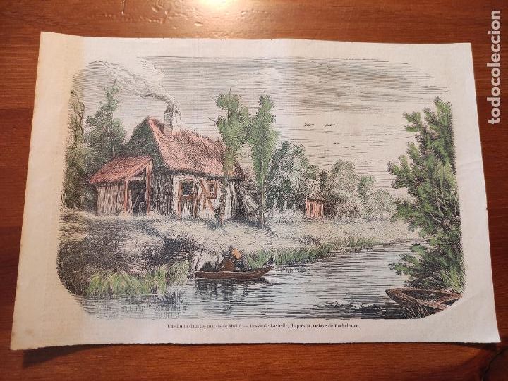 Arte: Une hutte dans les marais de Maille - Dessin de Lavieille, d&rsquo;apres M. Octave de Rochebrune - 26x18