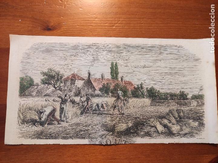 Arte: Aout A. Lavieille - 26x13 coloreada