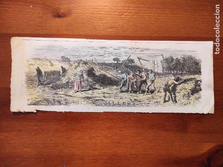 Arte: Juillet - 26x9