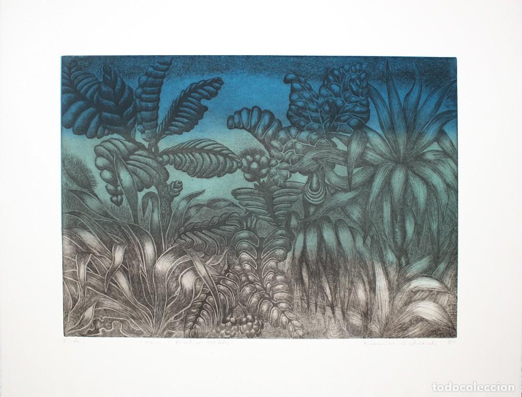 Art: KARIM SHAUB - lLitografia sobre papel arte. 67 x 50 cm.