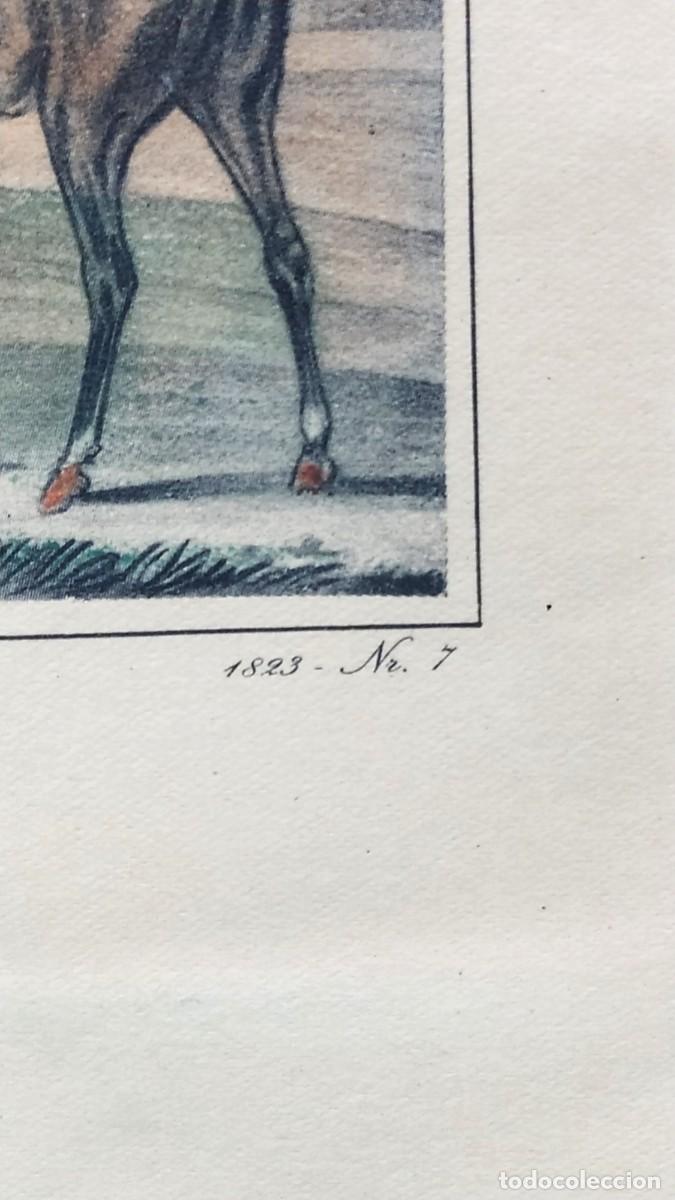Arte: LITOGRAF&Iacute;A COLOREADA INGLESA - Foto 7