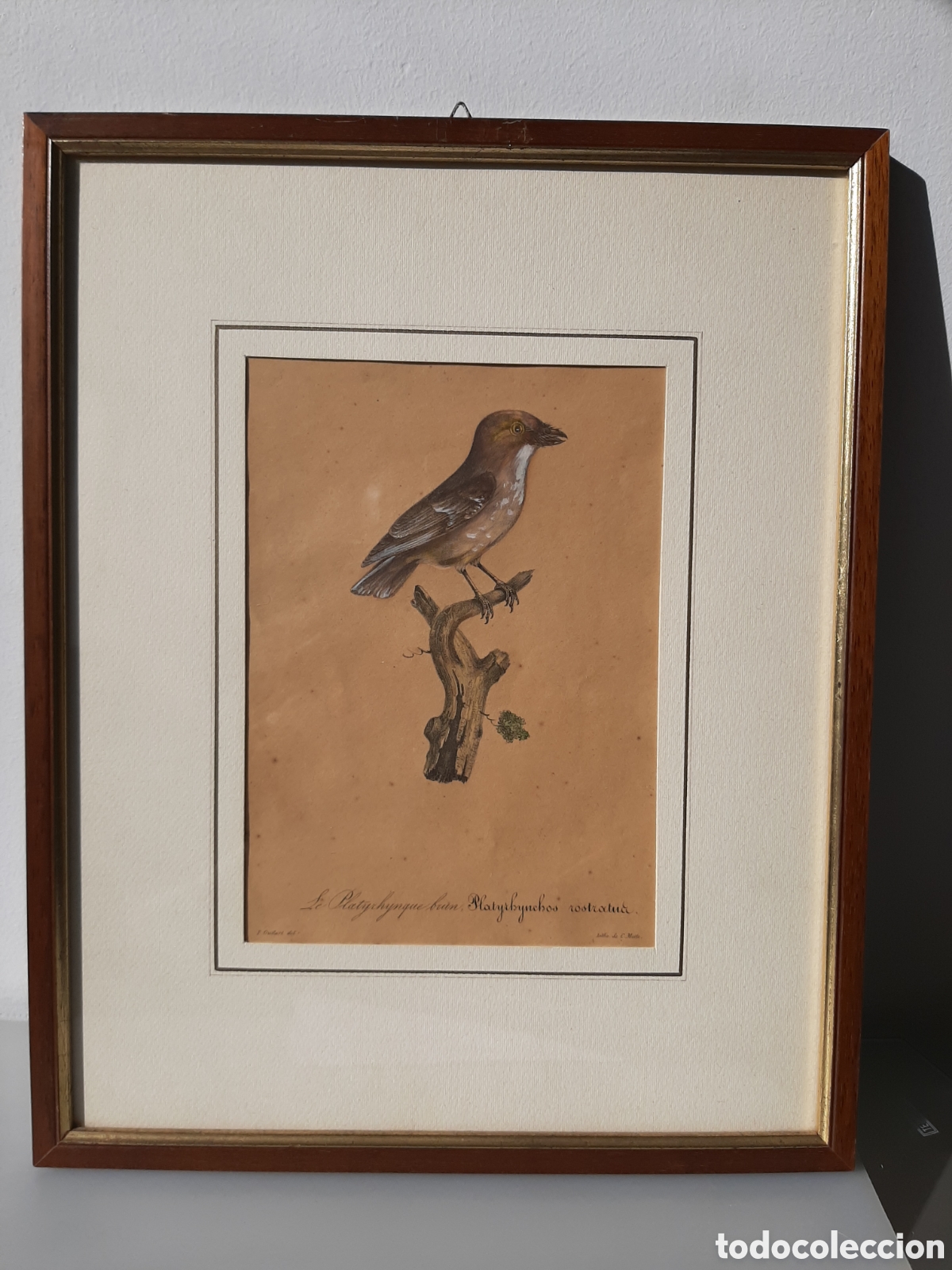 Arte: Litografia s.XIX d Charles Motte.