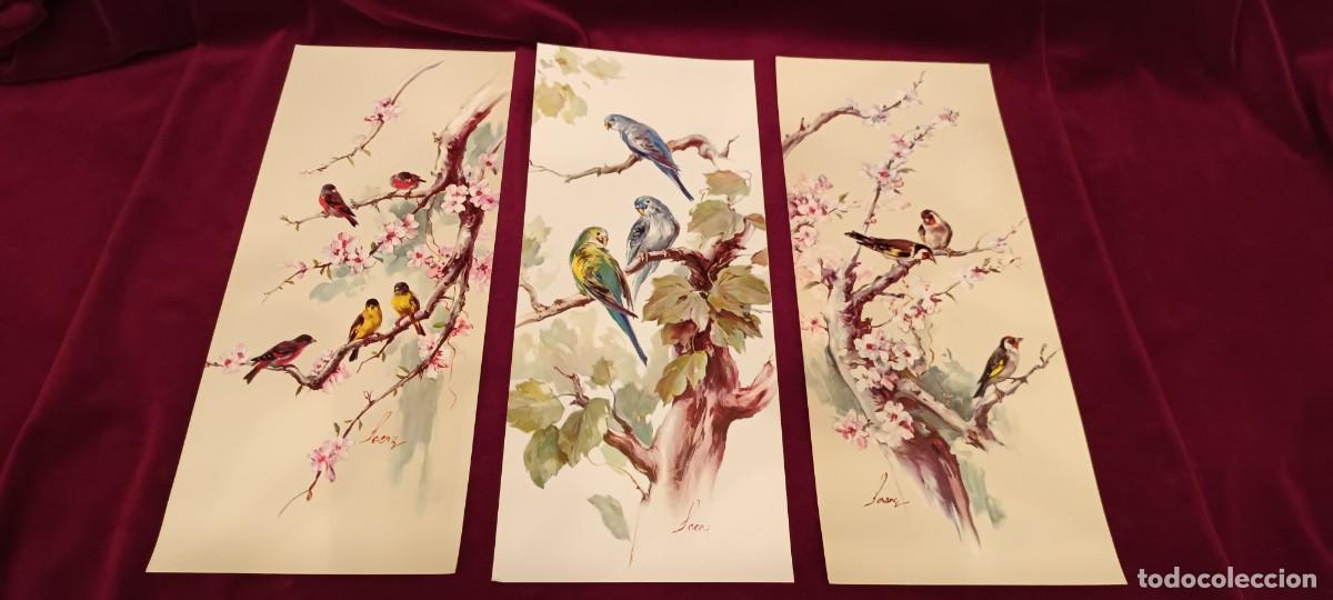 Arte: Tres l&aacute;minas de p&aacute;jaros - Foto 1