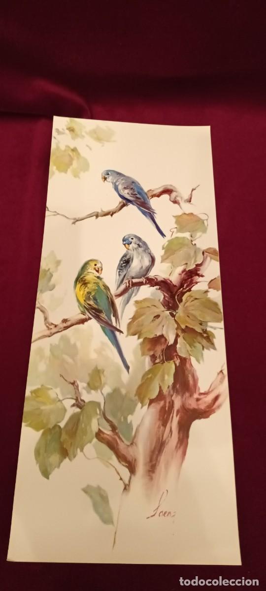 Arte: Tres l&aacute;minas de p&aacute;jaros - Foto 2