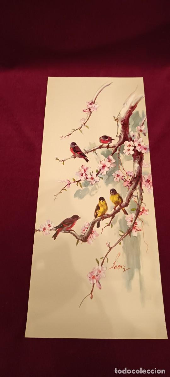 Arte: Tres l&aacute;minas de p&aacute;jaros - Foto 4