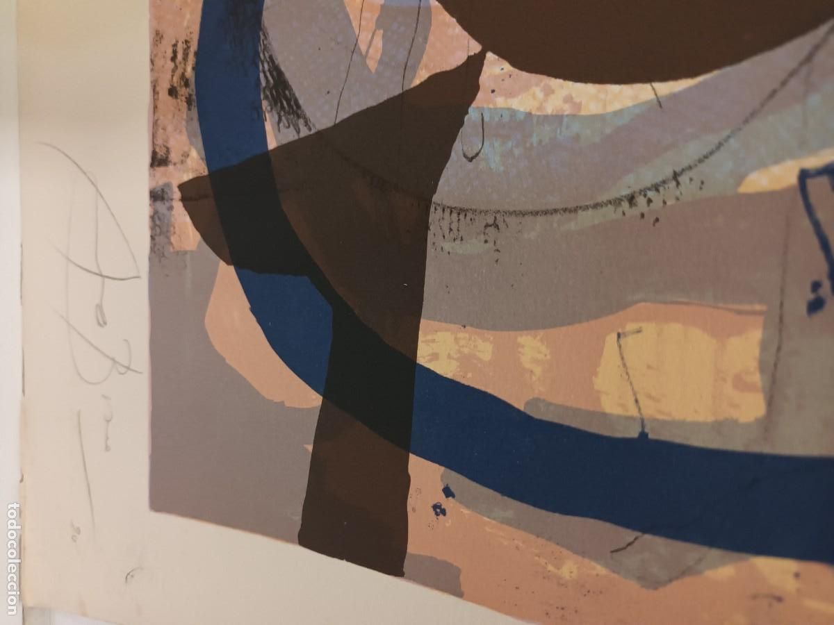 Arte: Litograf&iacute;a de Arranz Bravo - Foto 3