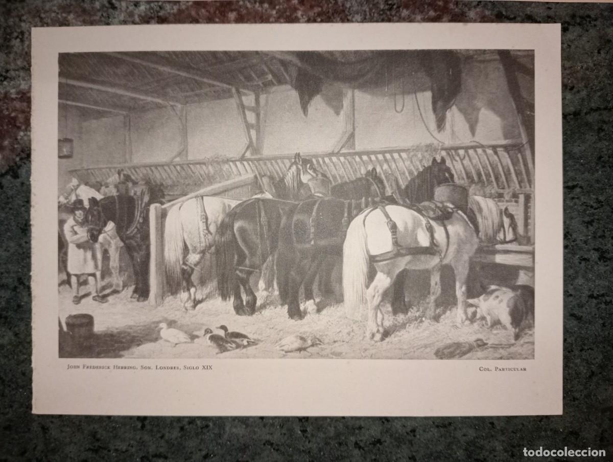 Arte: Lote de Litografias - Foto 3