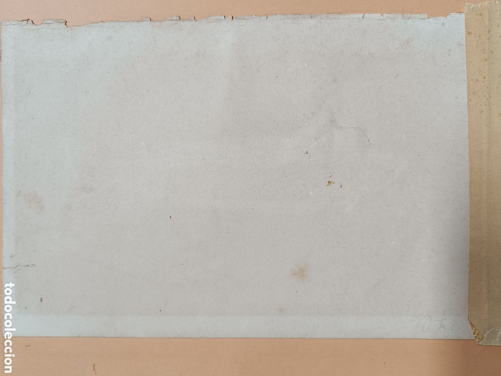 Arte: Antiguo grabado pez - Foto 11