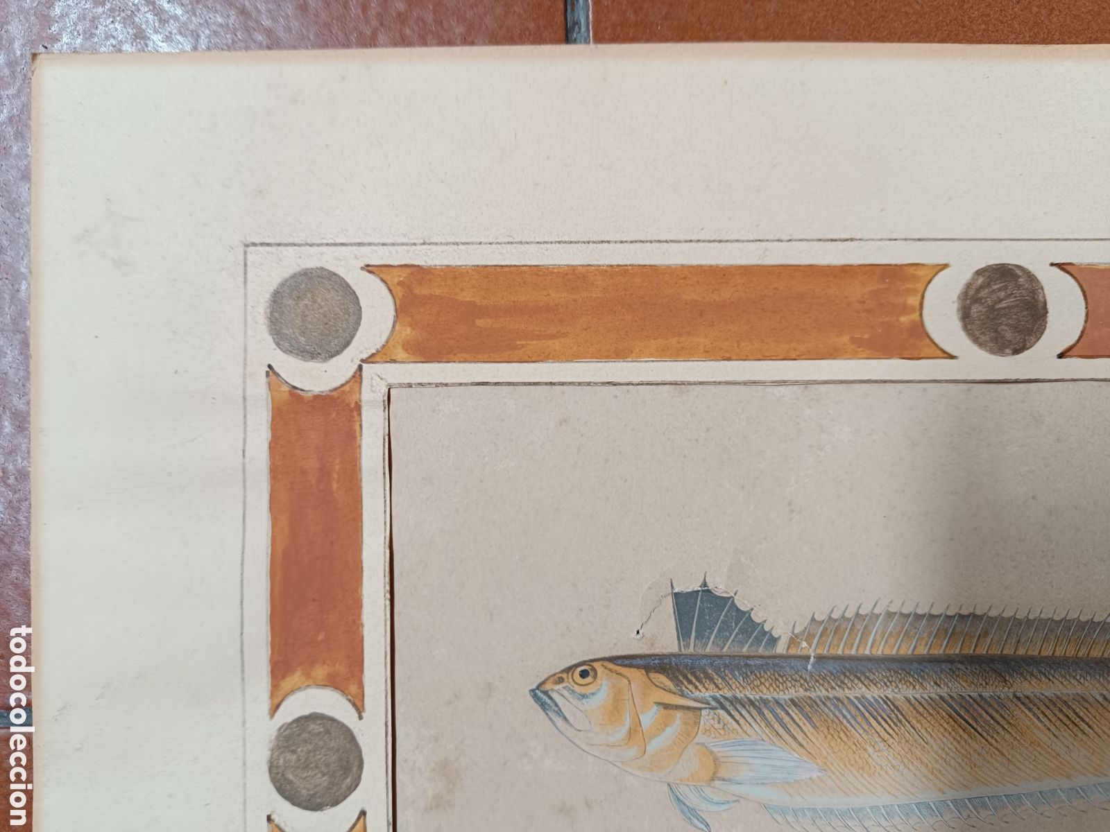 Arte: Antiguo grabado pez - Foto 10