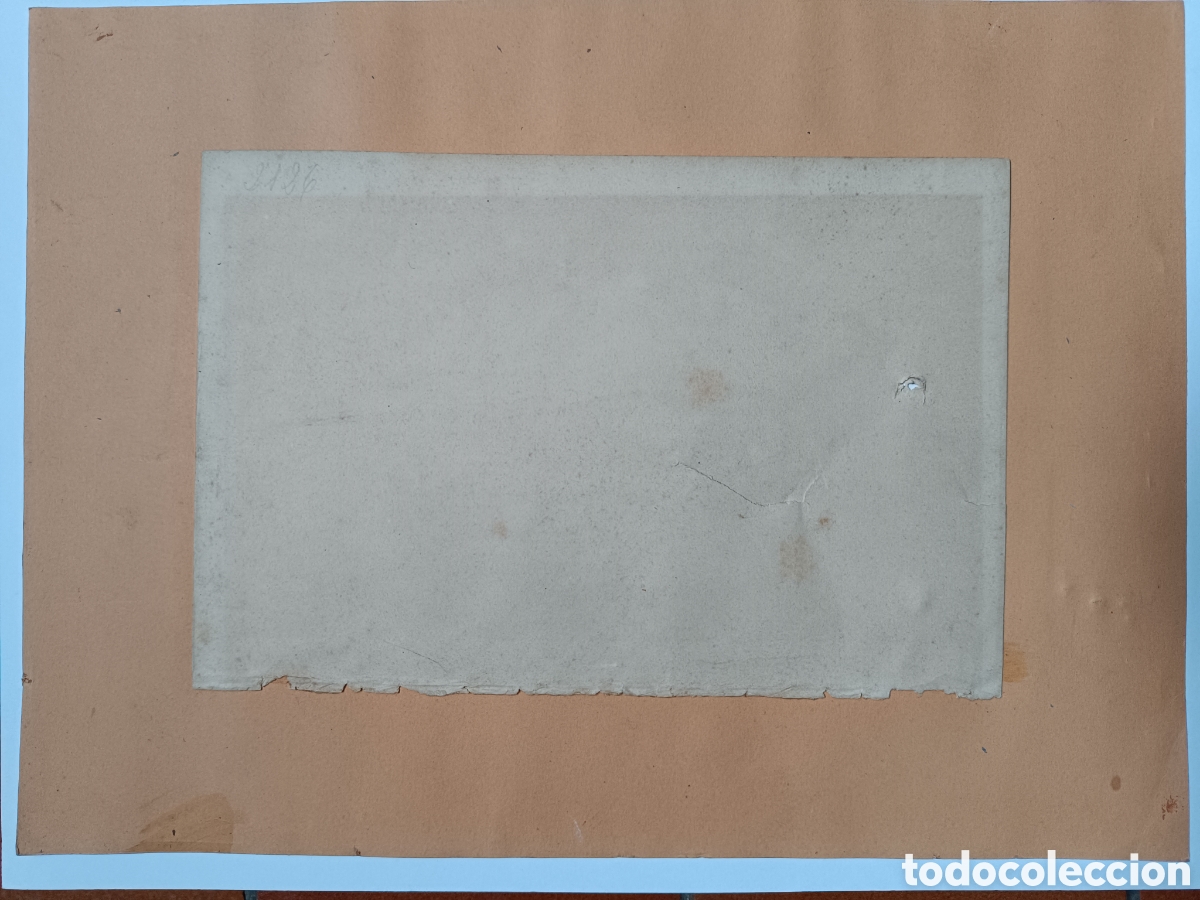 Arte: Antiguo grabado pez - Foto 10