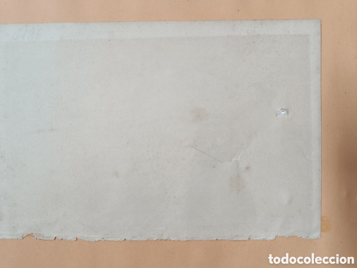 Arte: Antiguo grabado pez - Foto 9