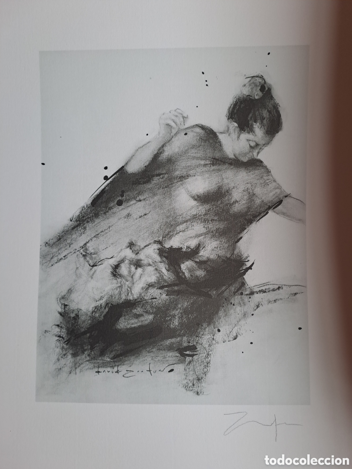 Arte: Litograf&iacute;a Fantas&iacute;as Amorosas Quijote - David Zafra