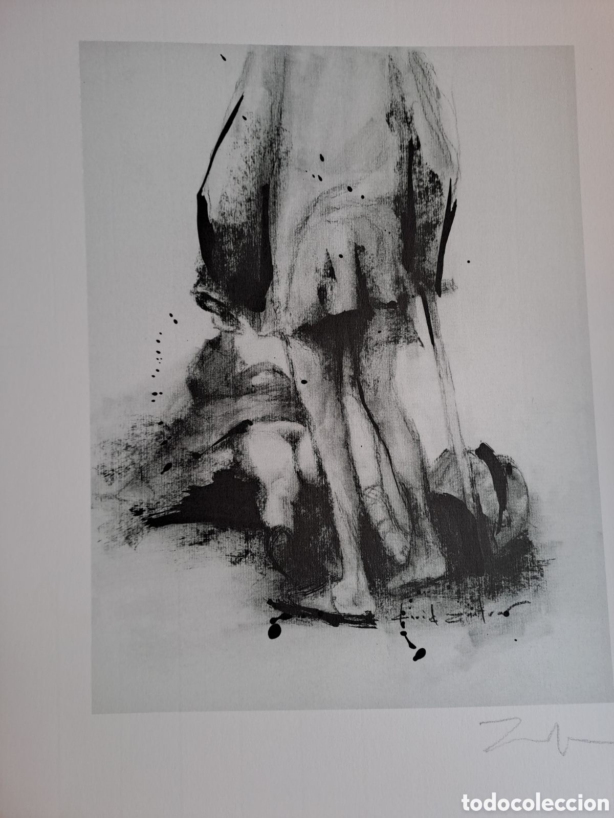 Arte: Fantas&iacute;as Amorosas Quijote Litograf&iacute;a David Zafra