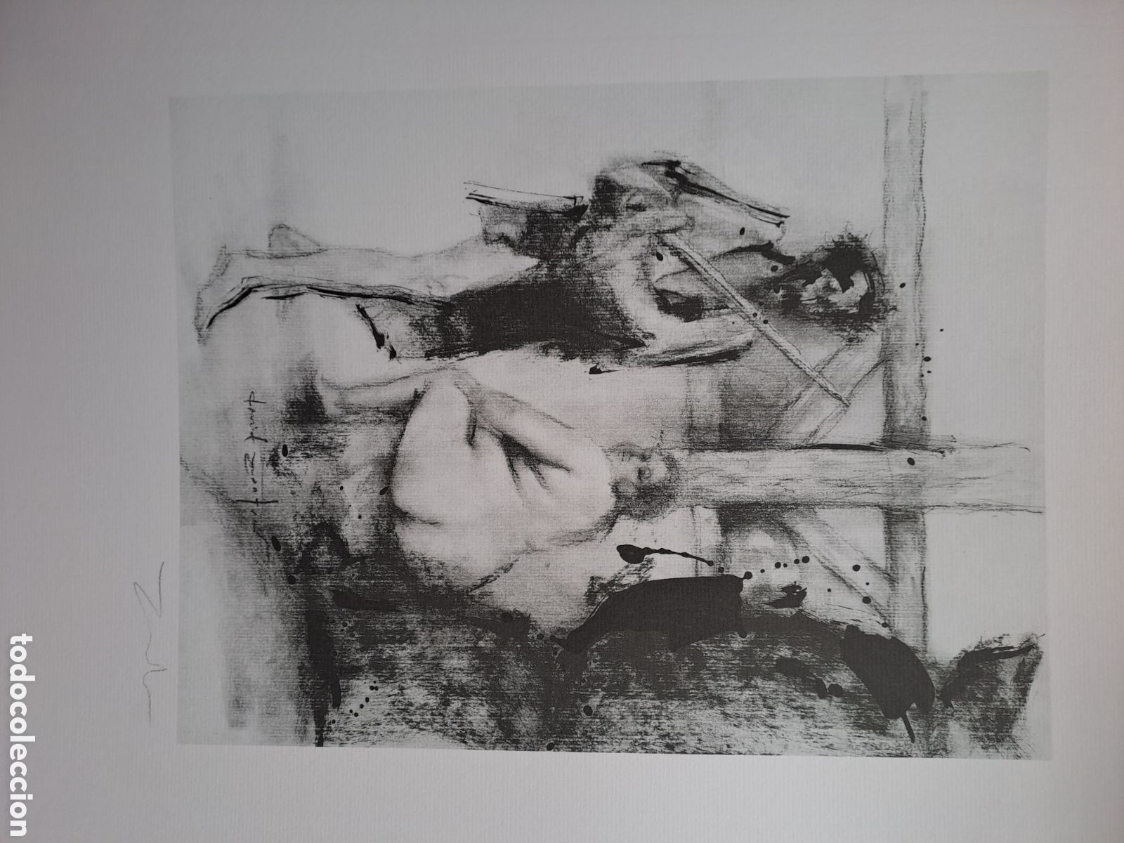 Arte: Fantas&iacute;as Amorosas Quijote Litograf&iacute;a David Zafra