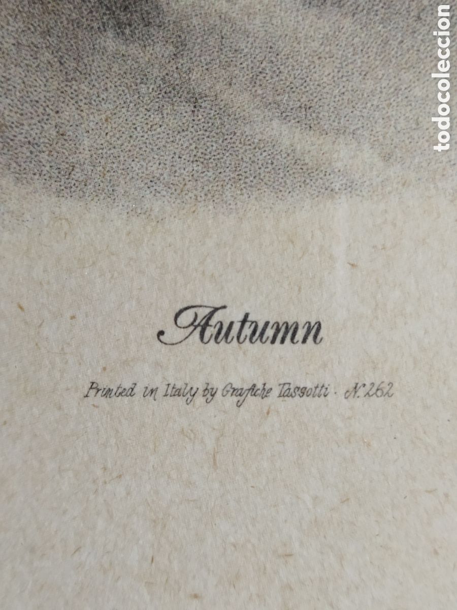 Arte: Cuadro Litograf&iacute;a vintage - Foto 6