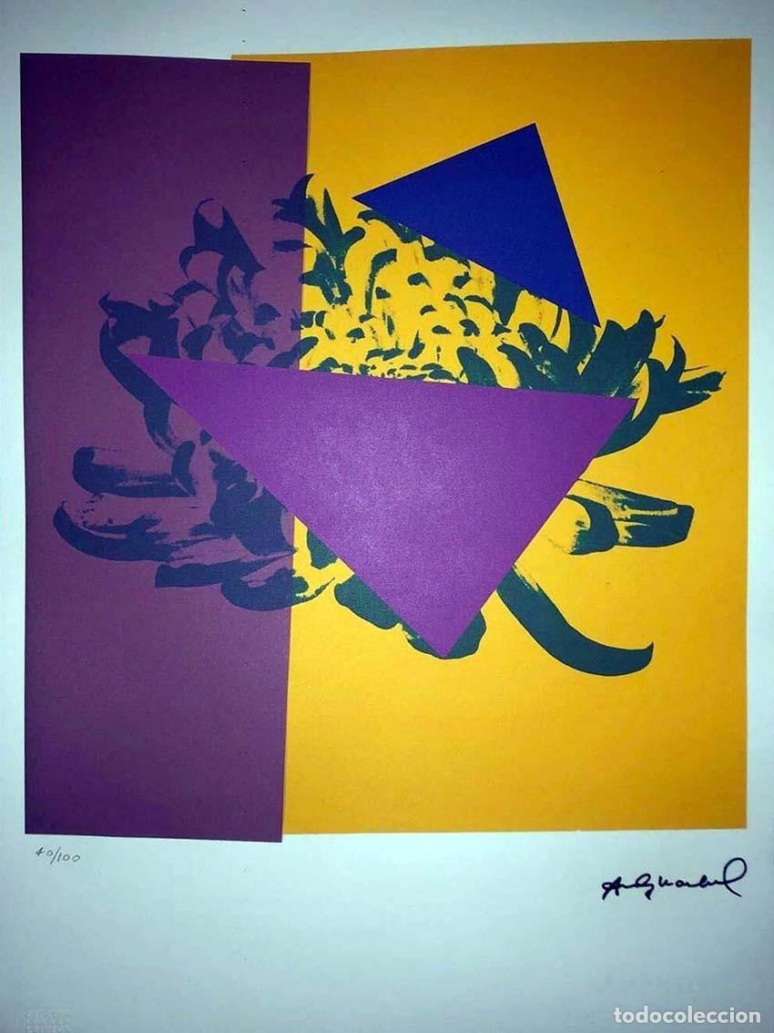 Arte: ANDY WARHOL - Litografia Ed. limitada 100 ejemplares. - Foto 1