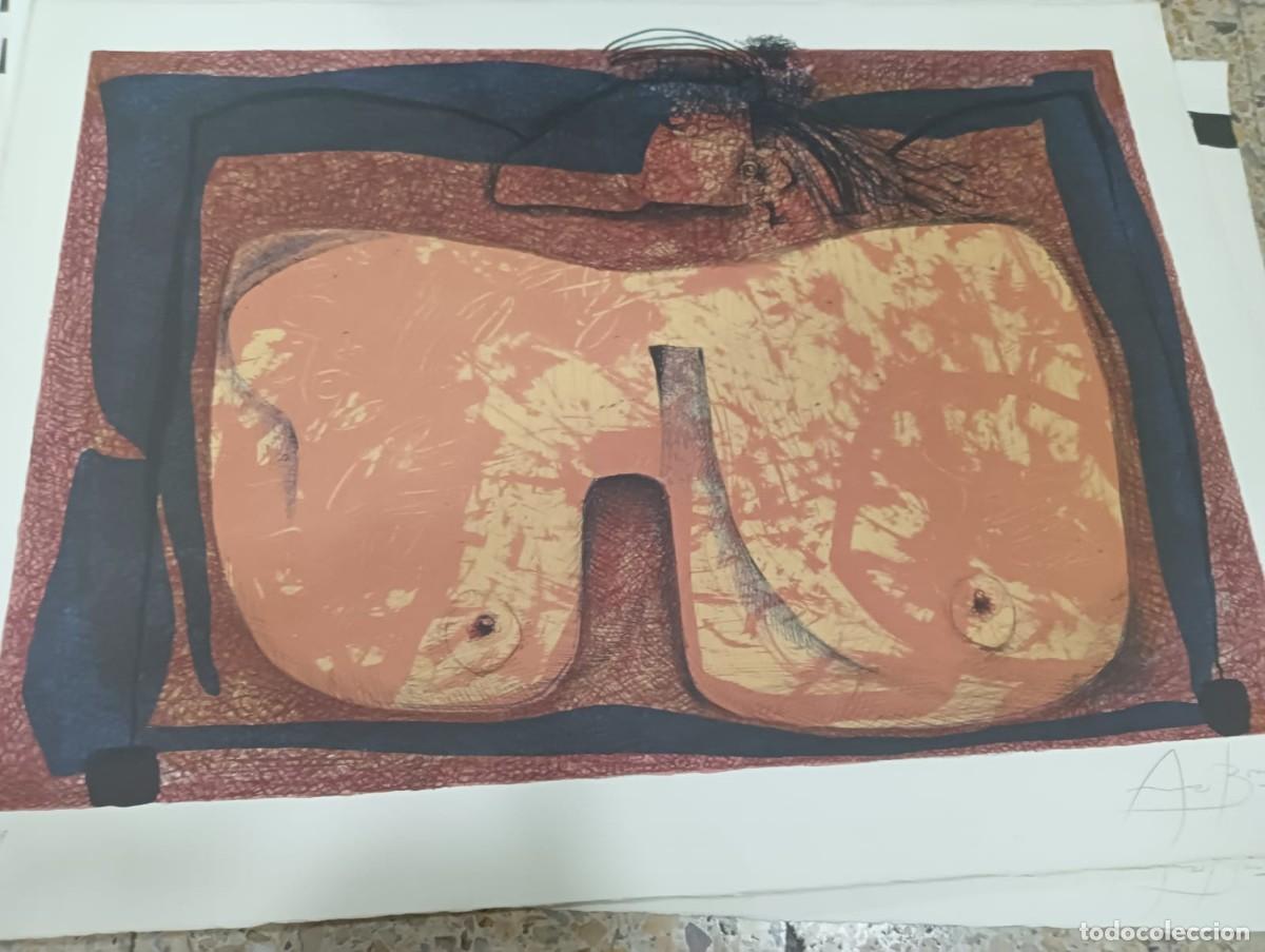 Arte: Litograf&iacute;a de Arranz Bravo - Foto 1