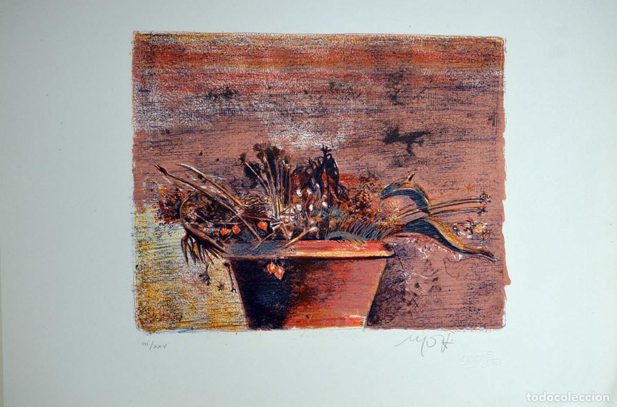 Arte: Litografia sobre papel arte. 30 x 40 cm