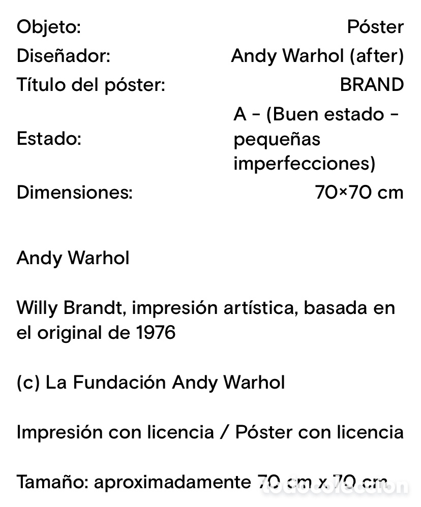 Arte: Andy warhol-Branz - Foto 2