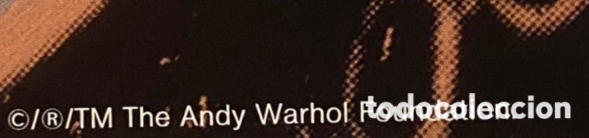 Arte: Andy warhol-Branz - Foto 7