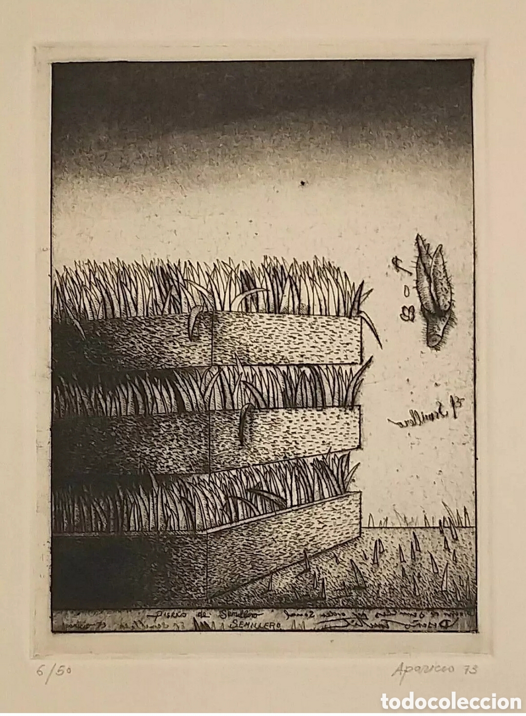 Arte: Gerardo Aparicio Grabado 1973 - Foto 2