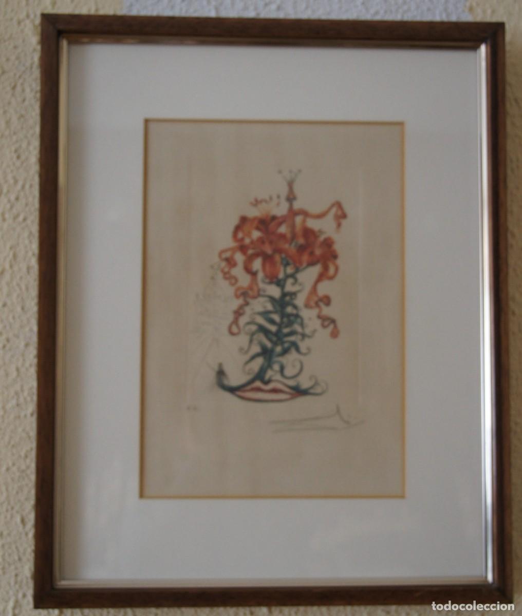Art: Litograf&iacute;a Salvador Dal&iacute;
