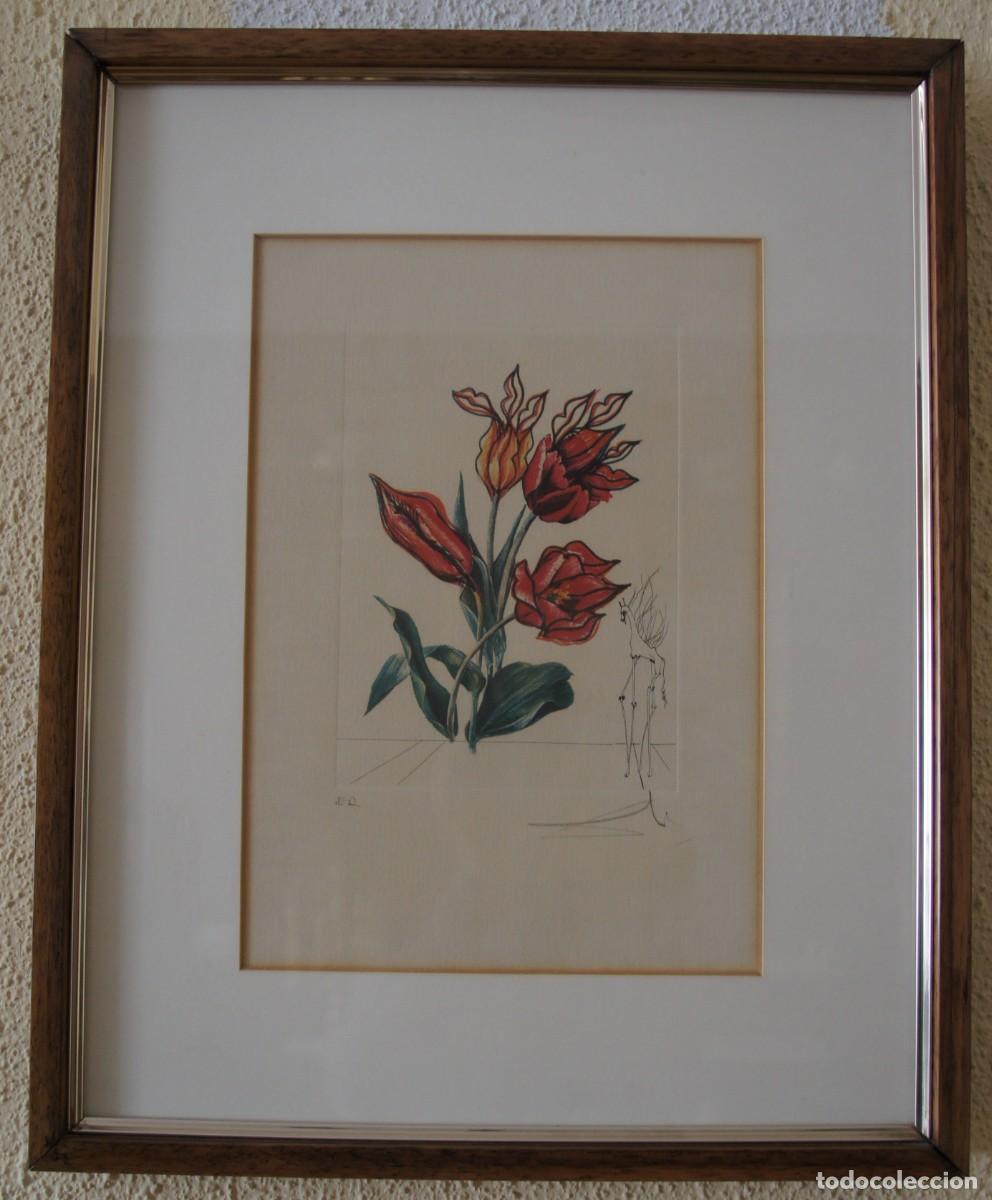 Arte: Litograf&iacute;a Salvador Dal&iacute;