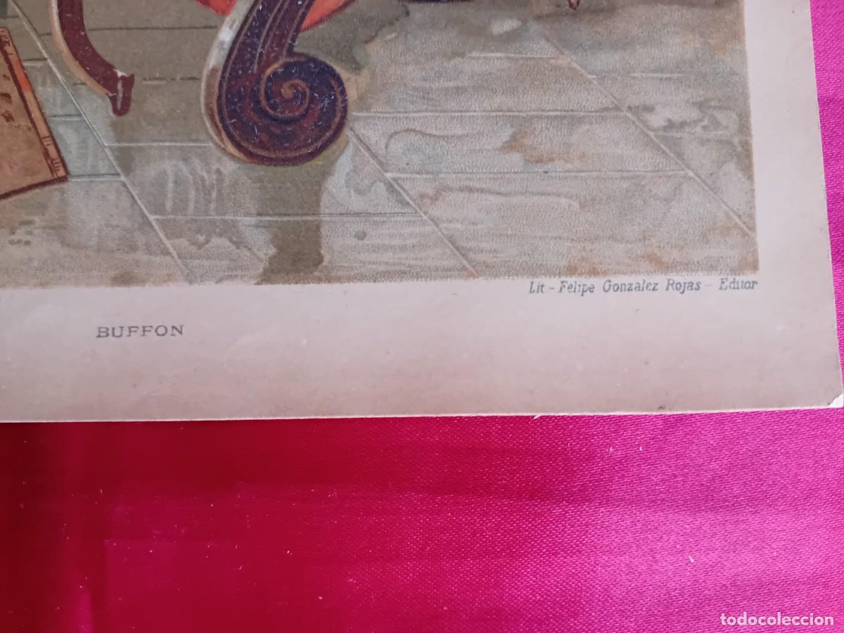 Arte: Buffon litograf&iacute;a siglo XIX - Foto 2