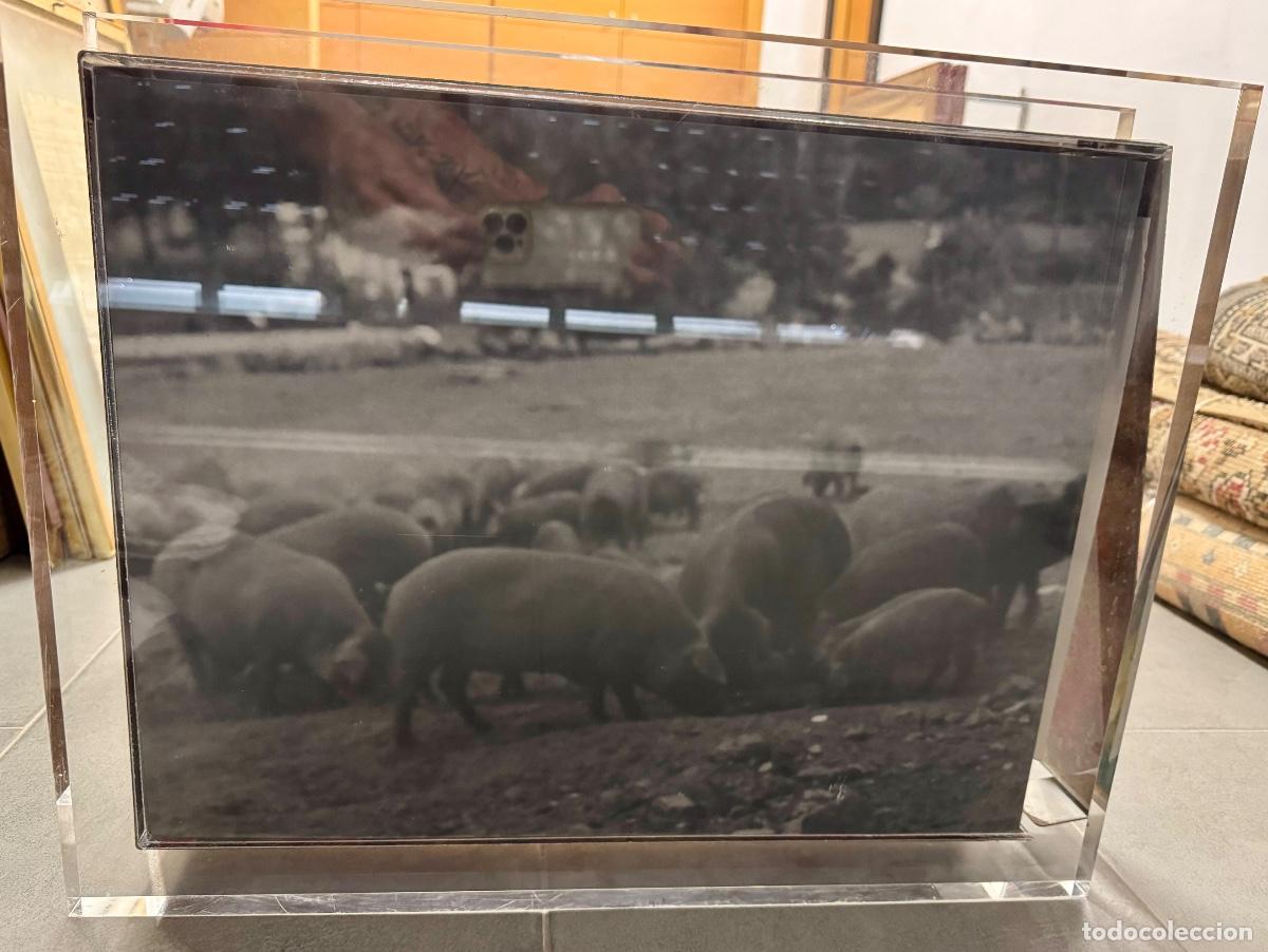 Arte: Litograf&iacute;a Joaqu&iacute;n Sorolla - Foto 2