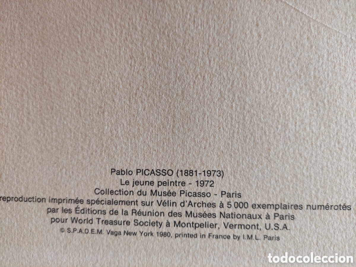 Arte: Picasso, litograf&iacute;a numerada a mano - Foto 7