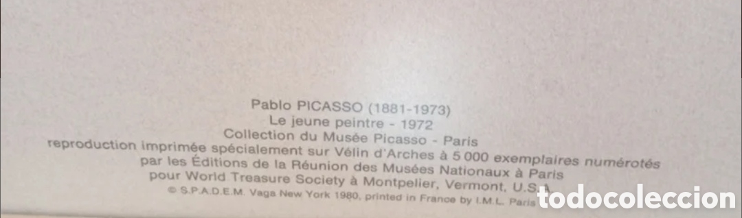 Arte: Picasso, litograf&iacute;a numerada a mano - Foto 6