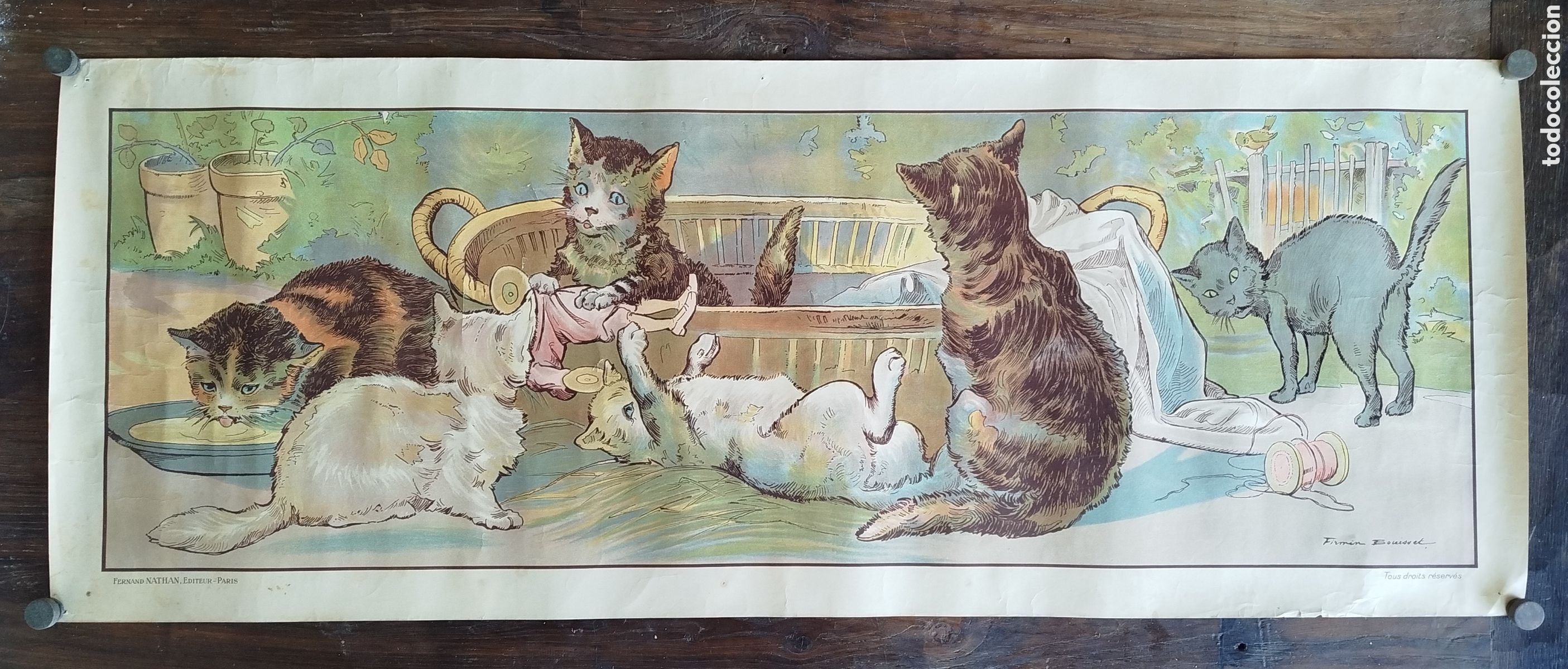 Arte: ANTIGUA LITOGRAF&Iacute;A DE FIRMIN BOUISSET. LES CHATS.FERNAND NATHAN ED. PERIS. 1914