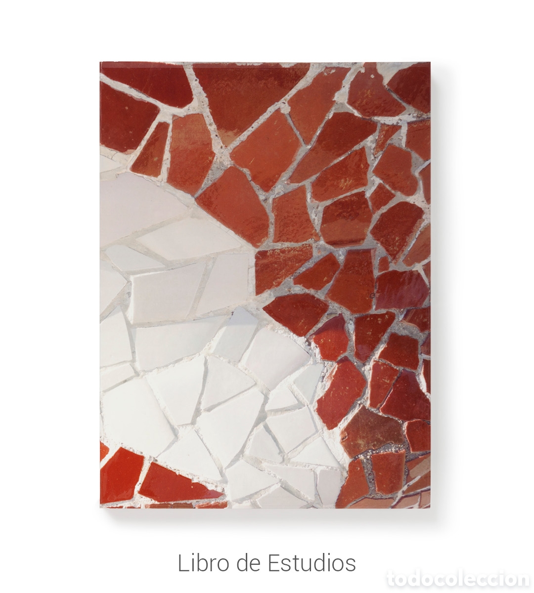 Arte: Gaud&iacute; en primer plano - Foto 6