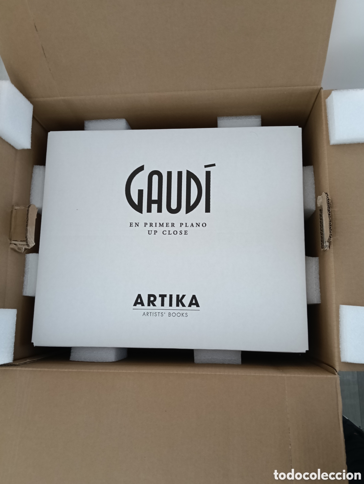 Arte: Gaud&iacute; en primer plano - Foto 1