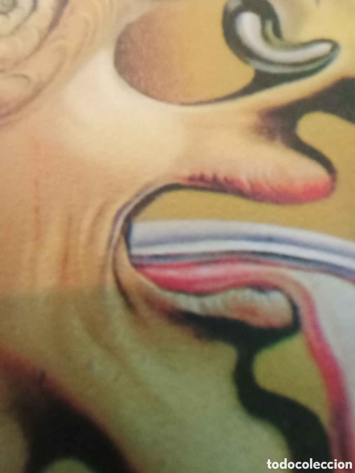 Arte: Litograf&iacute;a salvador dali - Foto 12