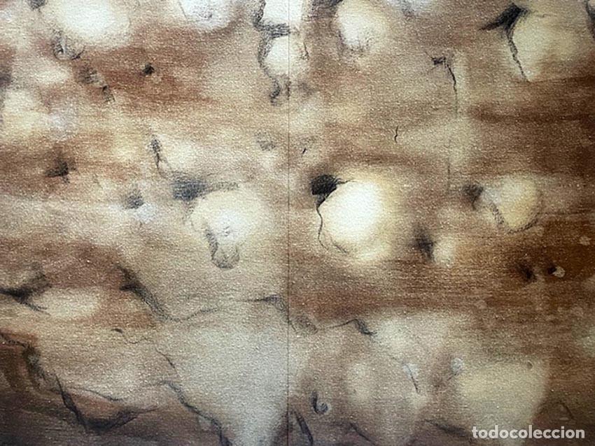 Arte: MIQUEL BARCEL&Oacute; - Despinturas - Foto 1