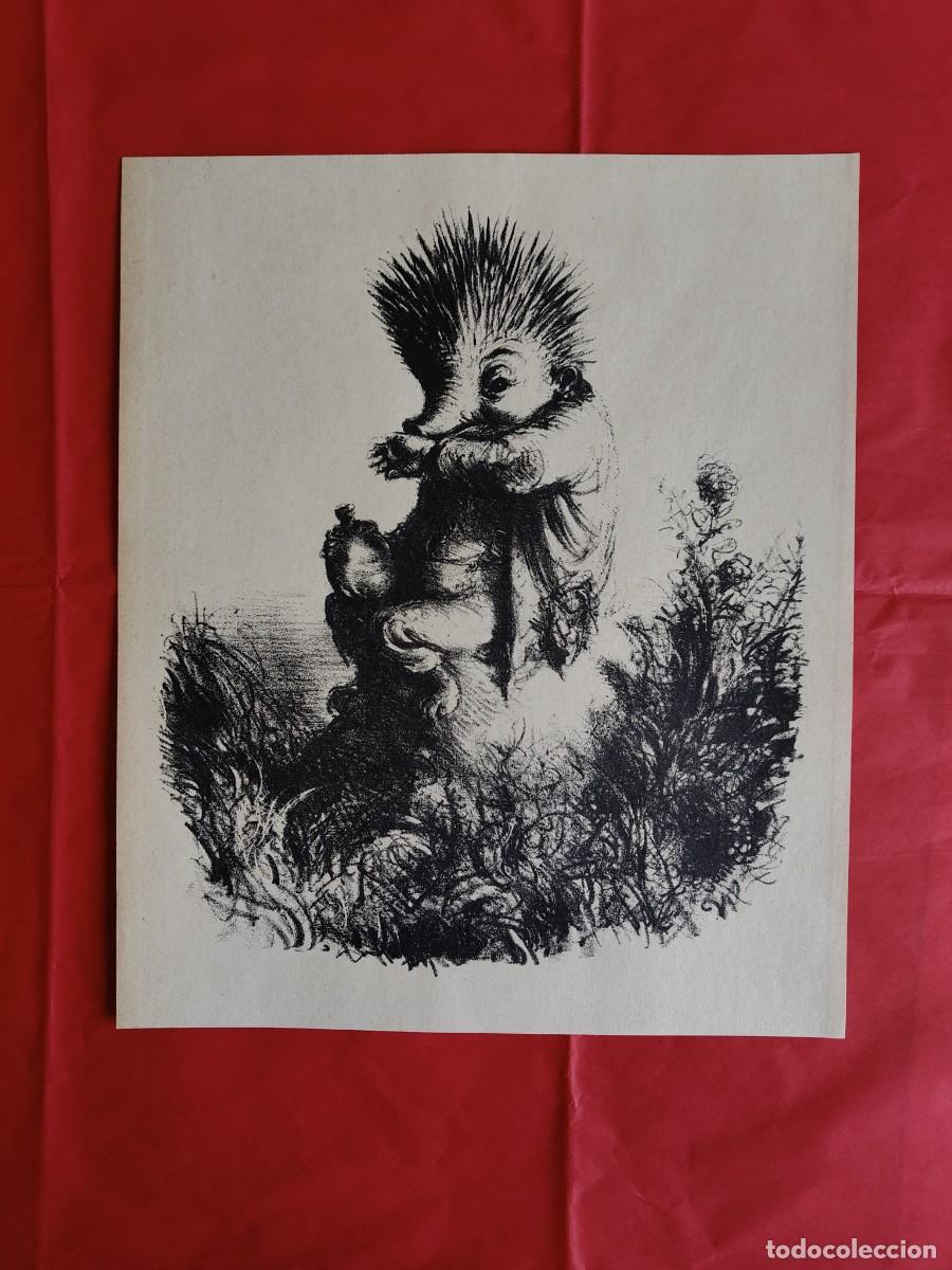Arte: Andreas Paul Weber, litograf&iacute;a, 1948 - Foto 2