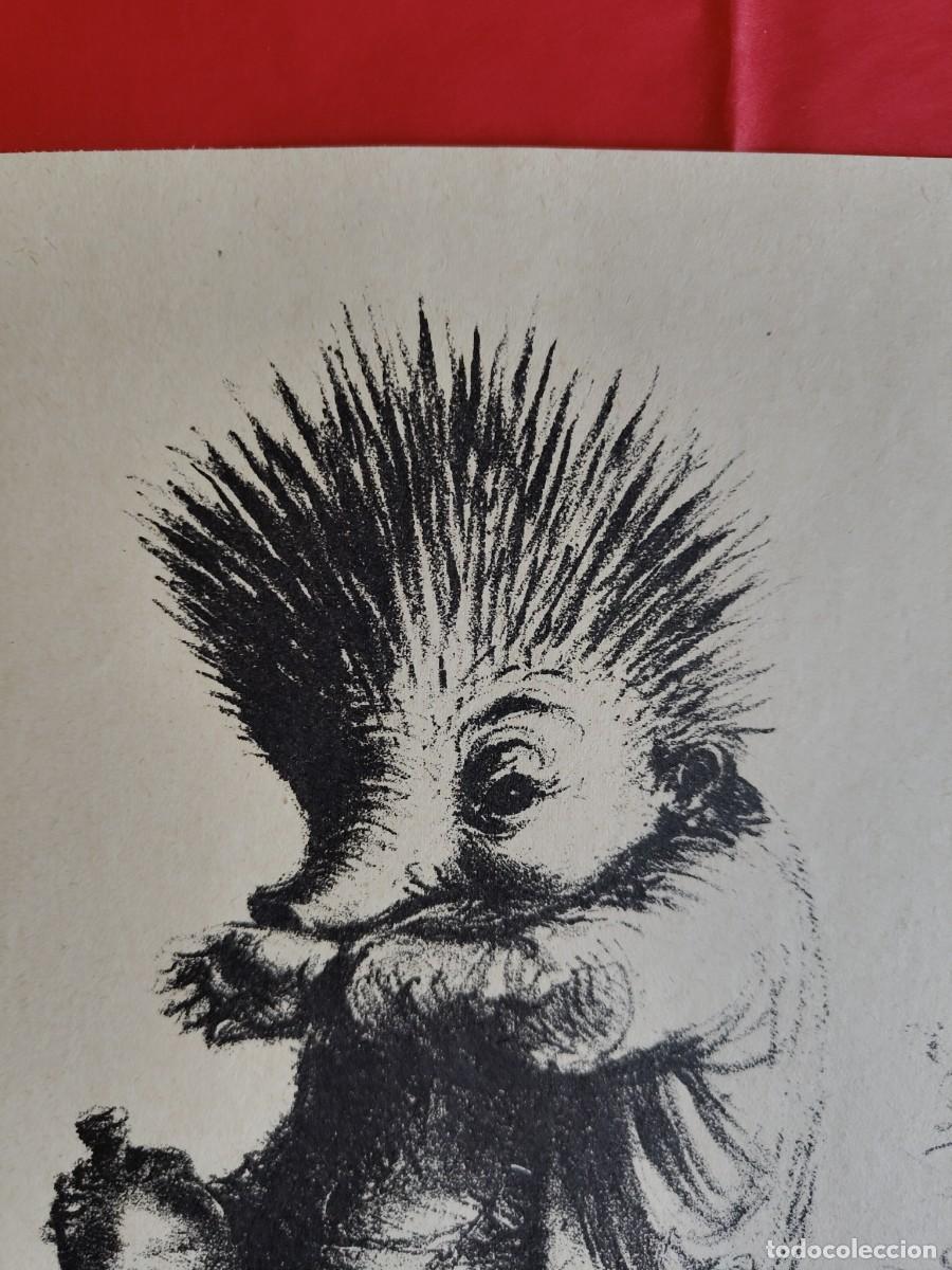 Arte: Andreas Paul Weber, litograf&iacute;a, 1948 - Foto 4