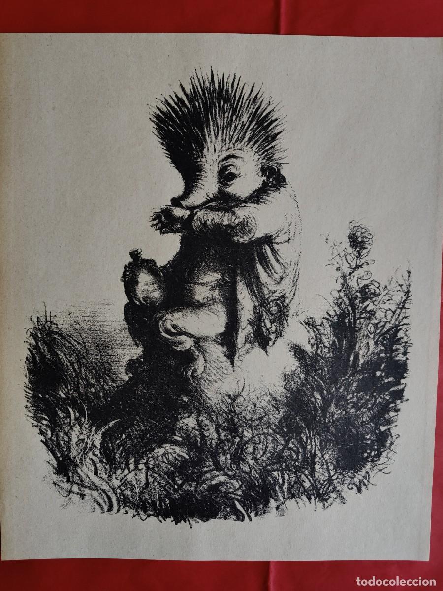 Arte: Andreas Paul Weber, litograf&iacute;a, 1948 - Foto 9