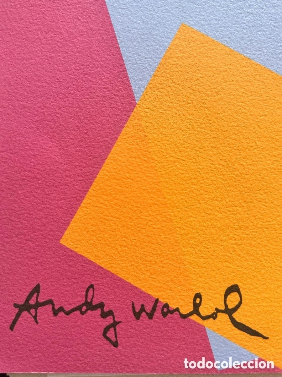 Arte: Andy Warhol litograf&iacute;a - Foto 2