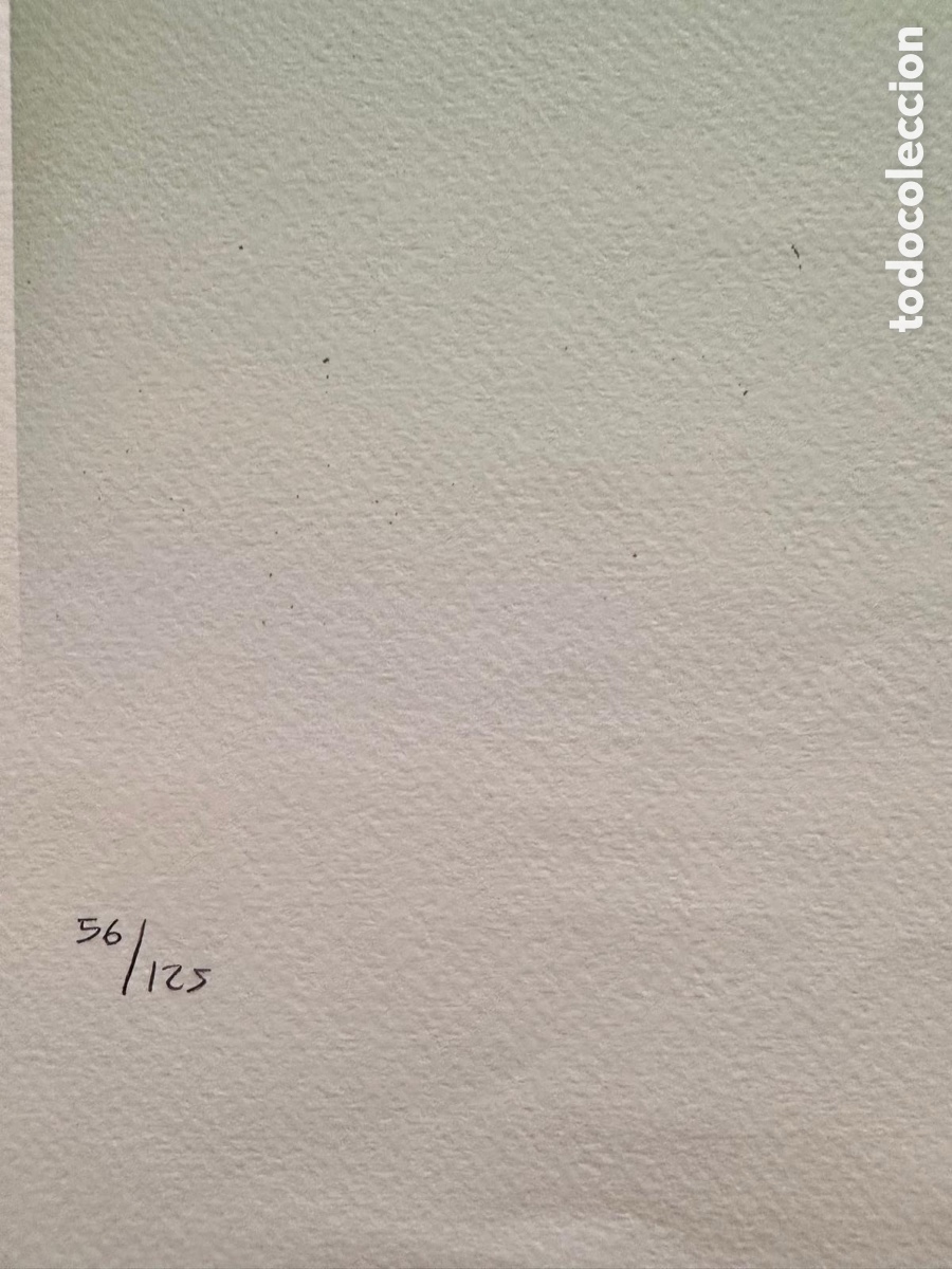 Arte: Andy Warhol litograf&iacute;a Elvis - Foto 2
