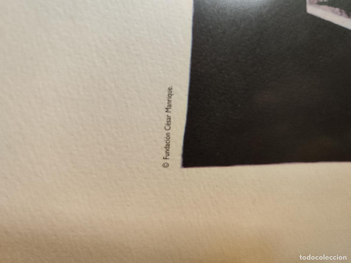 Arte: Litograf&iacute;a Bodeg&oacute;n Cesar Manrique enmarcada - Foto 3