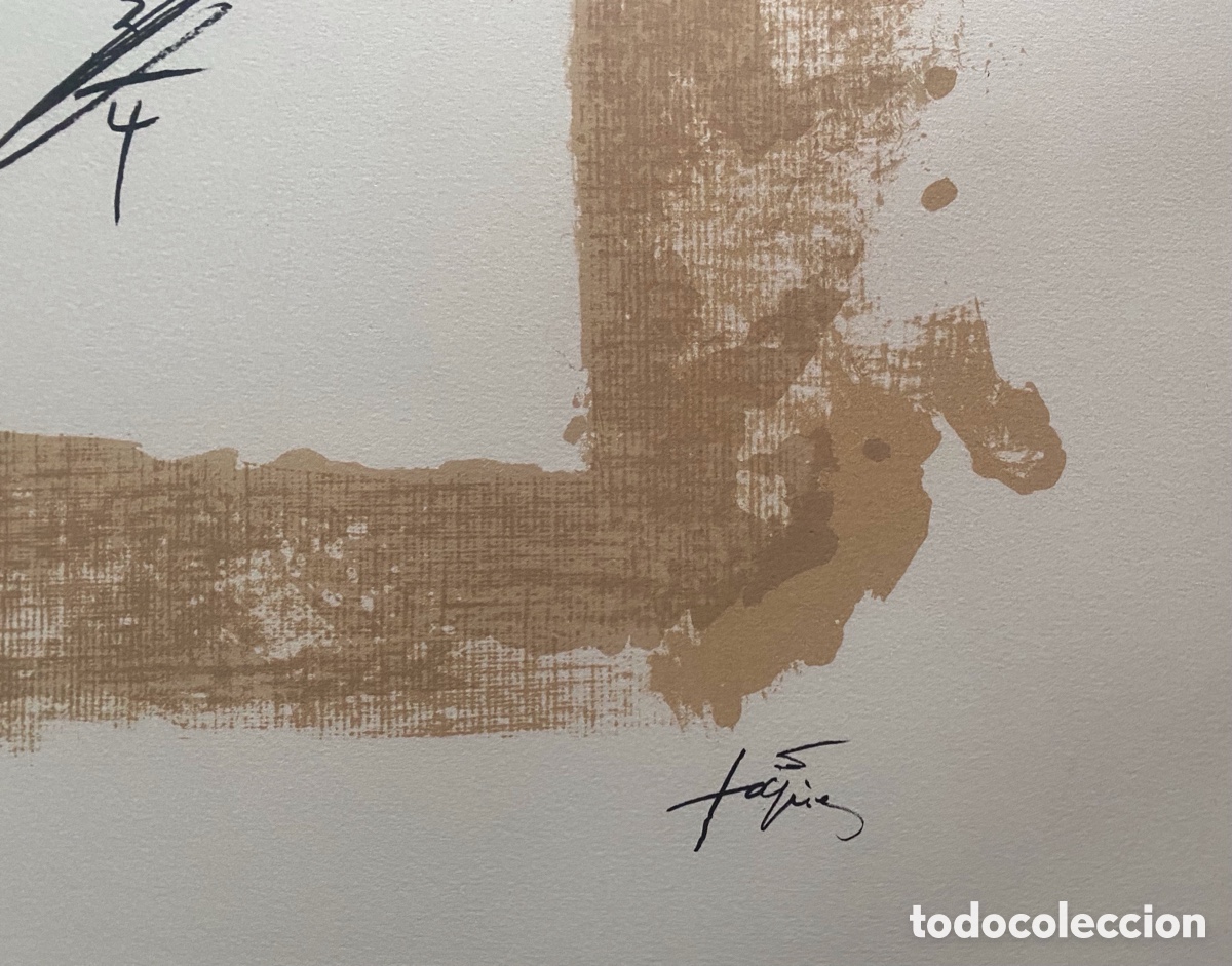 Arte: Litograf&iacute;a Antoni Tapies . La letra A . - Foto 5