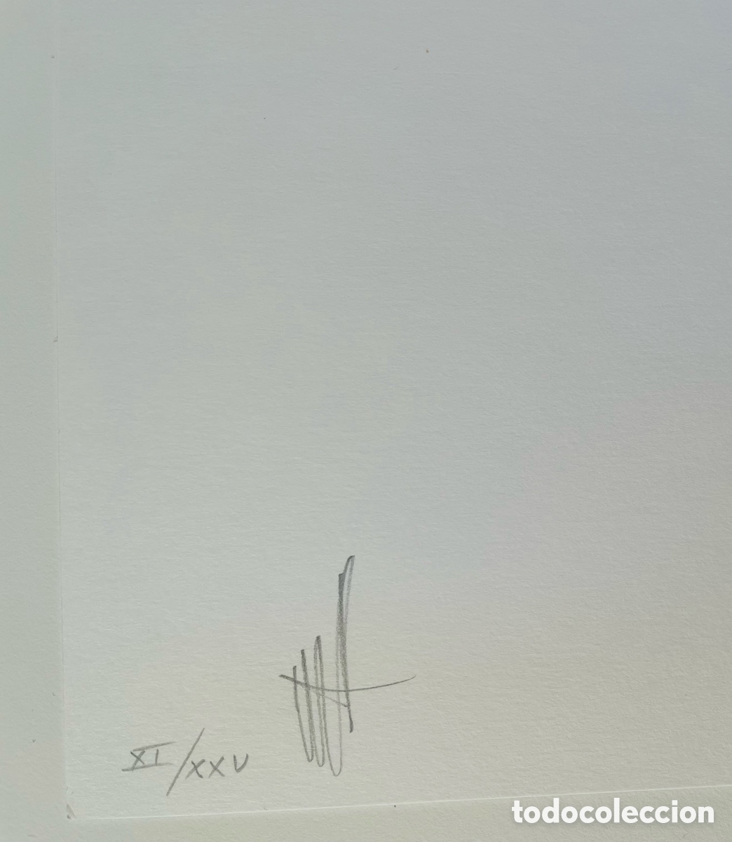 Arte: Caio Reisewitz. Litograf&iacute;a - Foto 2