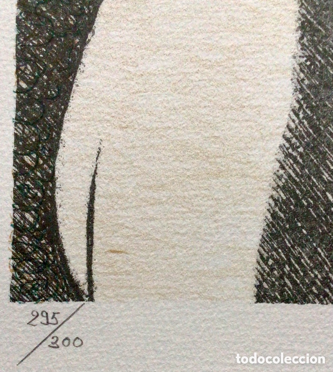 Arte: Litograf&iacute;a Dulcinea Subirachs - Foto 5
