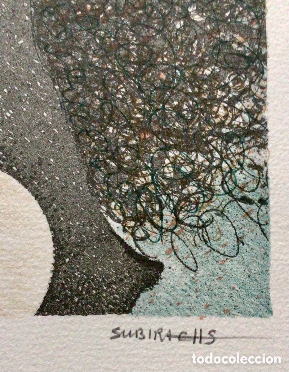 Arte: Litograf&iacute;a Dulcinea Subirachs - Foto 6