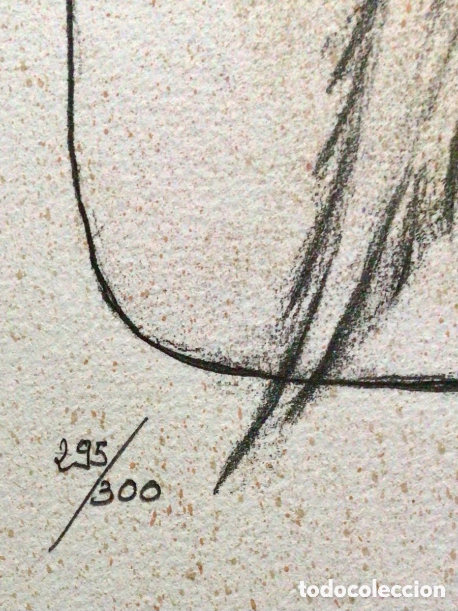 Arte: Litograf&iacute;a Cervantes Subirachs - Foto 5