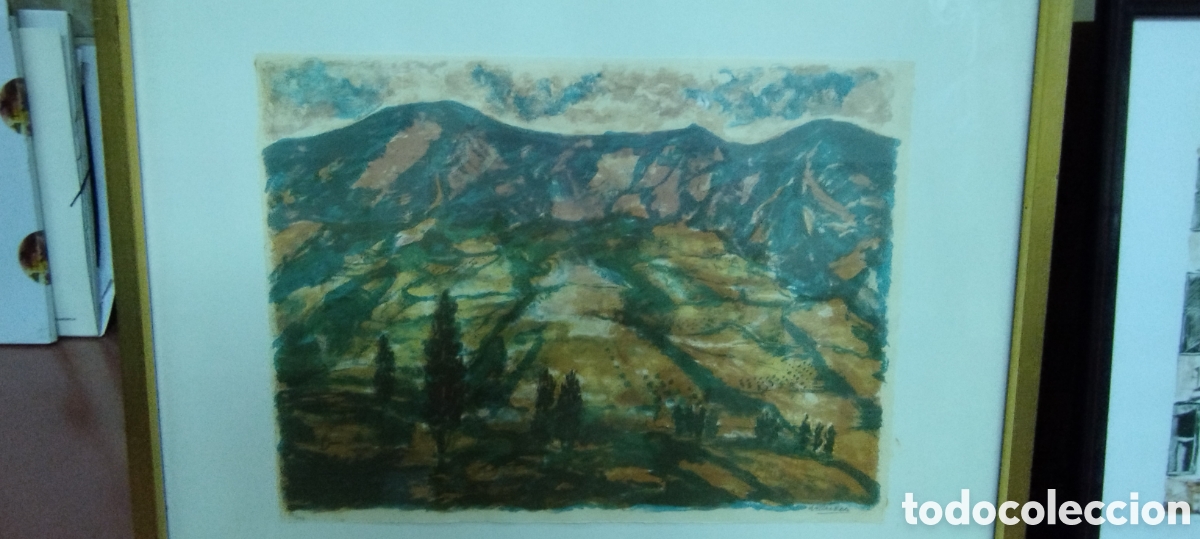 Arte: LITOGRAF&Iacute;A AVELLANEDA ENMARCADA - Foto 1