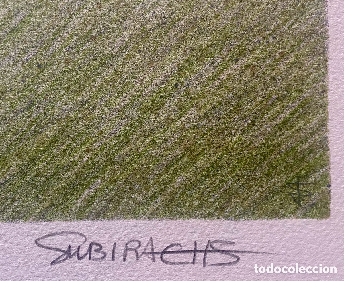 Arte: Litograf&iacute;a Subirachs - Foto 6
